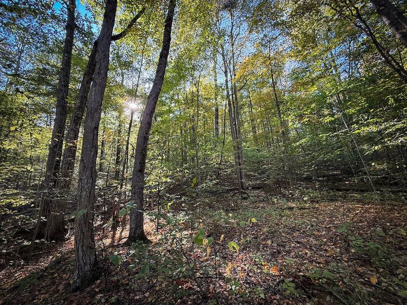 Tompkins NY 87 Allen Photos 42