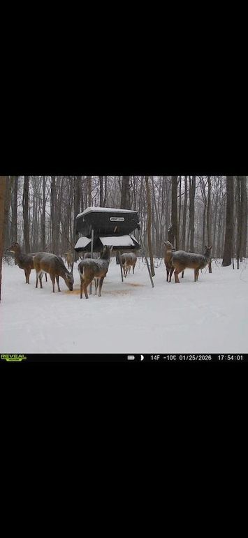 Screenshot 2026-02-09 at 3.14.34 PM