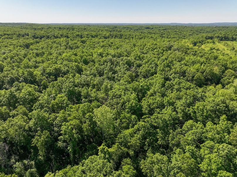 DJI_20250522094725_0359_D