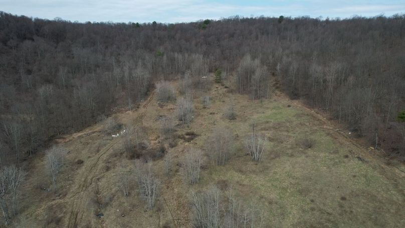 dji_fly_20260330_113148_232_1774884947095_photo