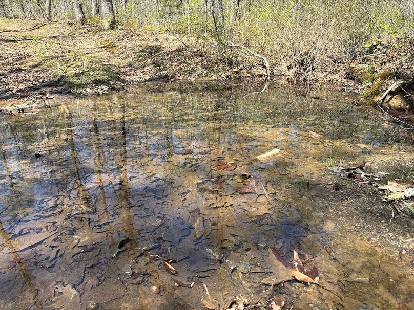 DJI_20260408_135635_932