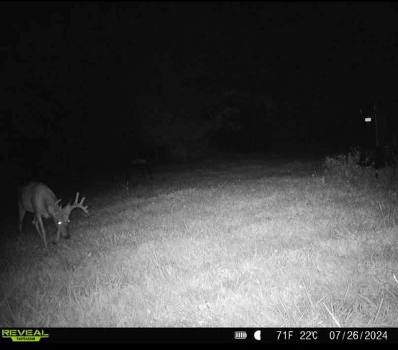 Trail Cam 10