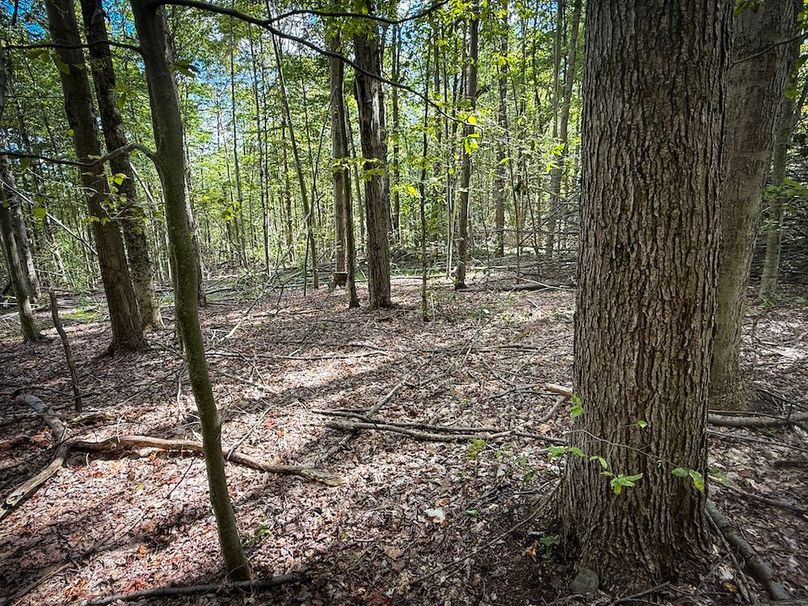 Tompkins_103.12_SusquehannaLandCo_Photos_12