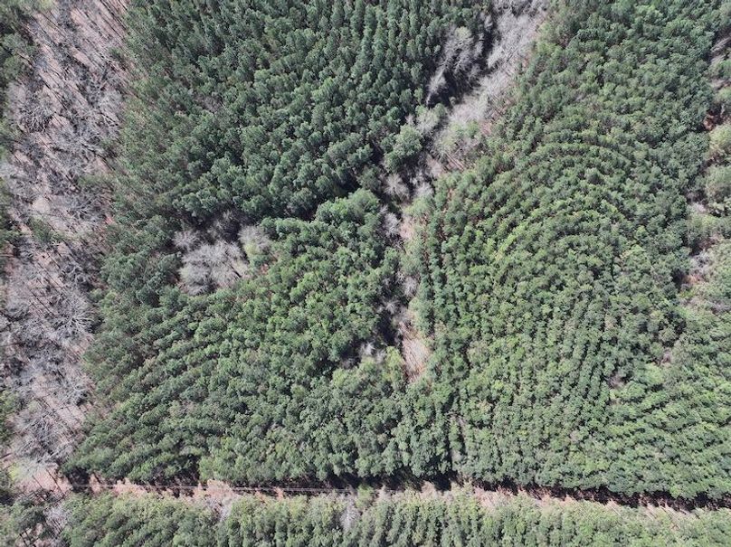 010AE - 257 Acres - Drone-4