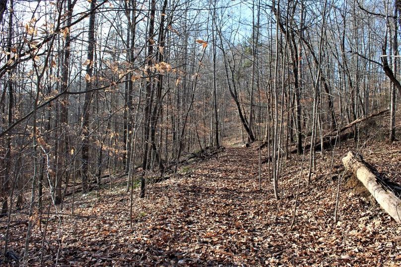 014 one of the many network of roads across the rolling wooded hillsides