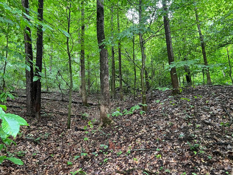 Wirt, WV 150.75 AC Tinnell-21