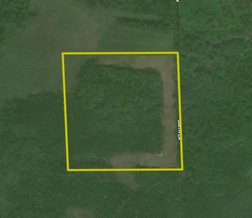 Screenshot 2024-10-13 at 3.36.10 PM