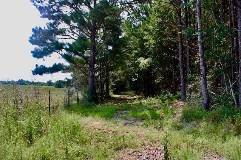 341202B0-8B06-4855-95F0-DA53AB20A73C_1_105_c