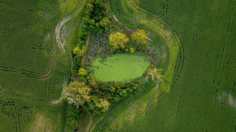 Lapeer MI 170 Featured_Pro Photo-81