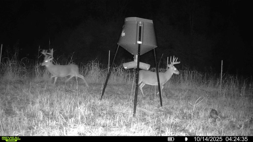 016687000322244-54-4-10142025084528-HD-SYFW01046