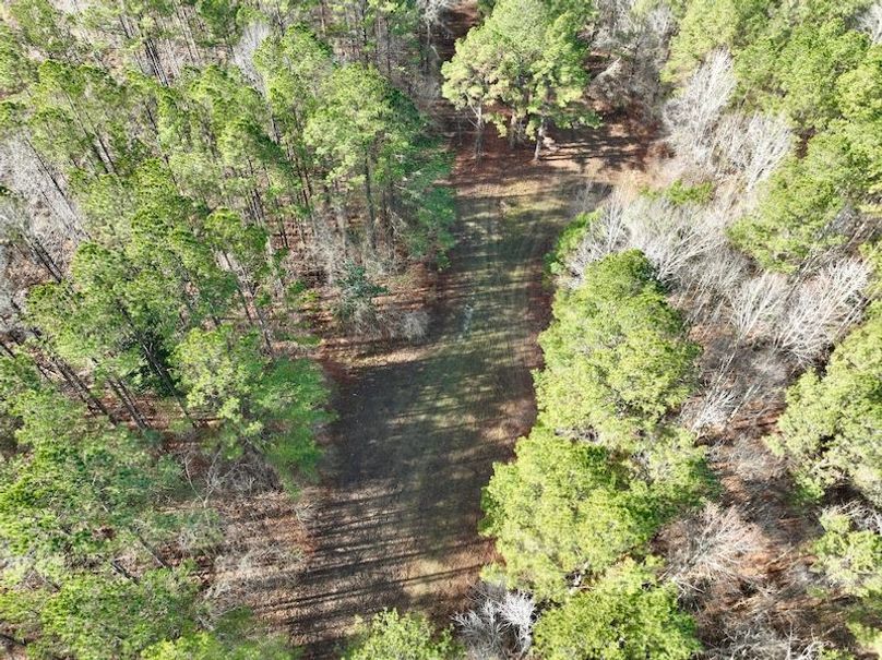 dji_fly_20260120_111848_176_1768926612733_photo