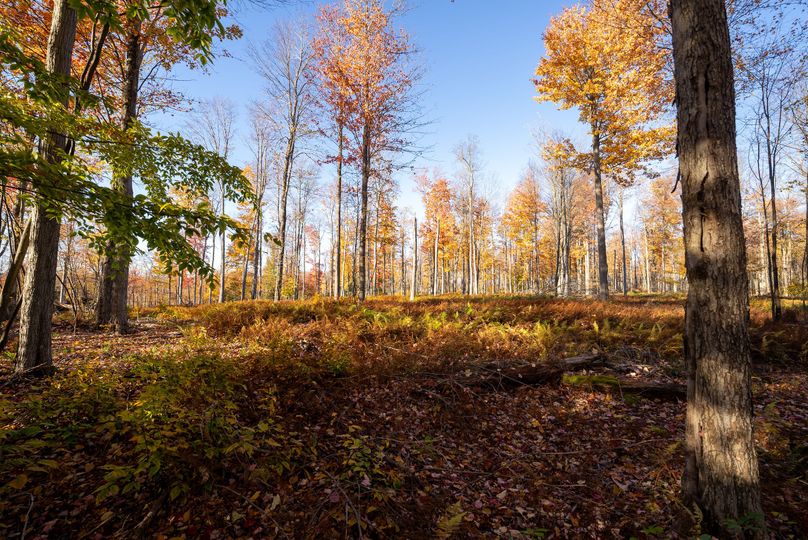 Elk PA 7000 Feature_Pro Photo-147