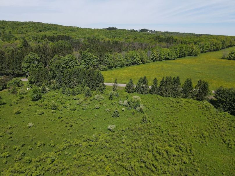 DJI_0423