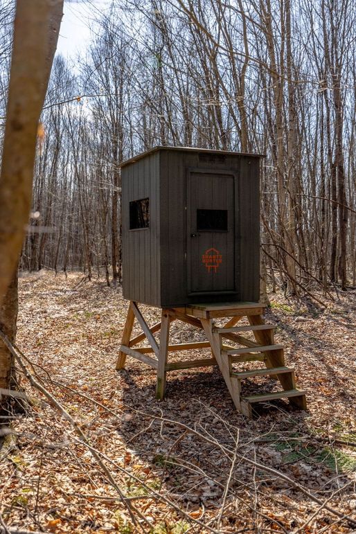 81-web-or-mls-IMG-81