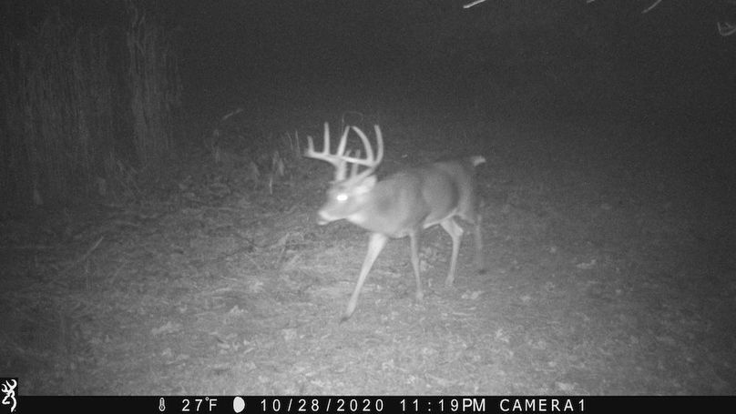 Sauk 174 Trailcam - 59
