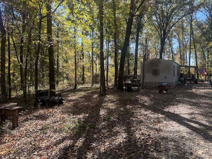 jeff 5020251111_0304