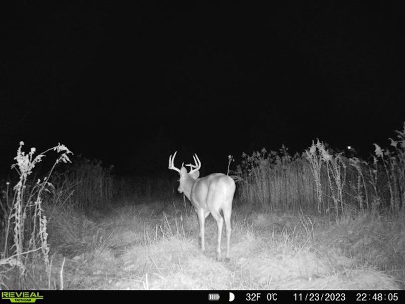 860322065128164-1-4-11232023224804-V-W1005962