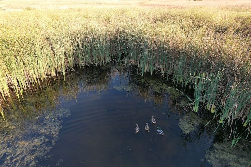 dji_fly_20250922_180926_972_1758582761759_photo