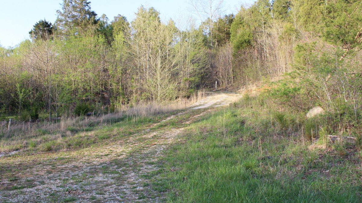 WellManaged Hunting Property With Building Potential In South Central