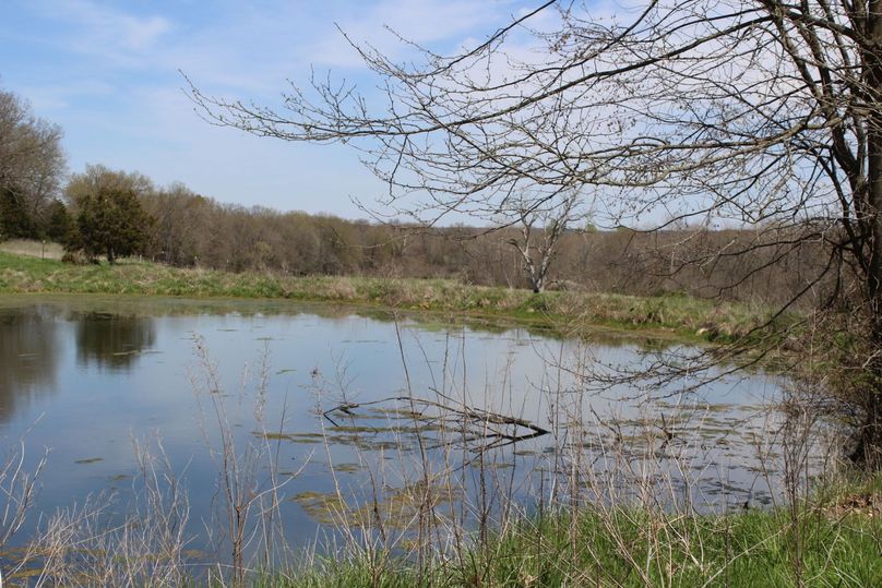 pond on west side of property in pasture with our fence line on S side of Jones looking NE