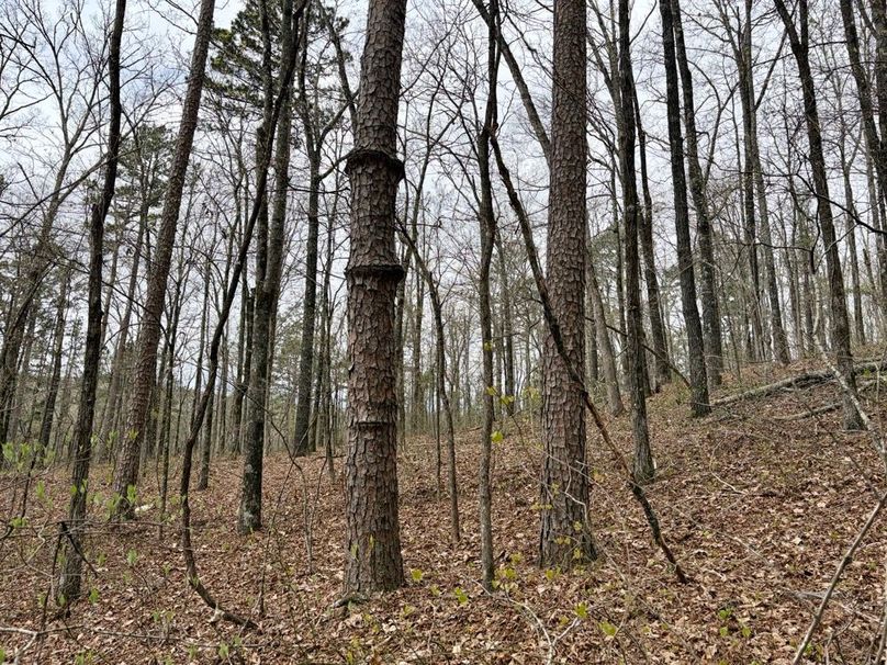 A6C787FB-2367-4E97-9338-EF887EC199CC_1_201_a