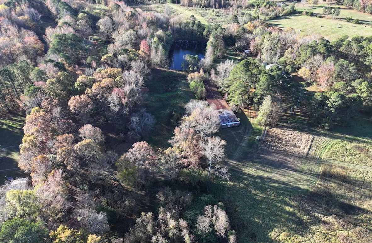 Copy of DJI_20241124090543_0219_D