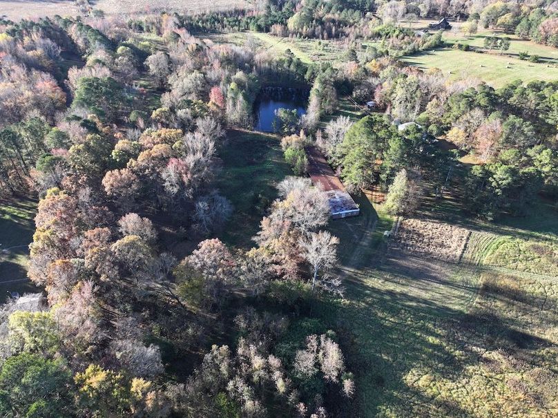 Copy of DJI_20241124090543_0219_D