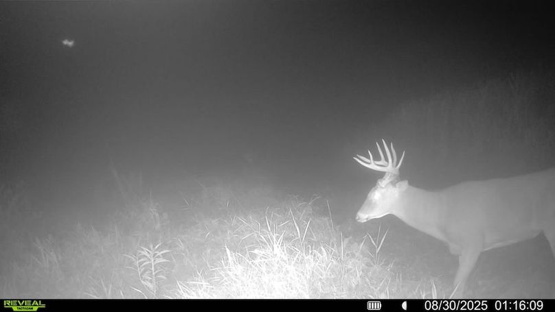 016579006920529-100-4-08302025011609-SYFW00010