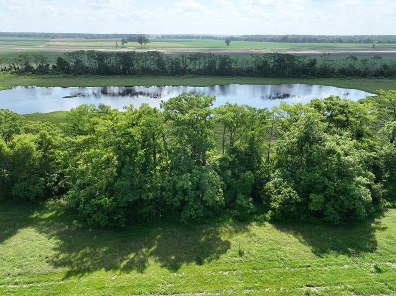 dji_fly_20250620_100800_22_1750611004686_photo