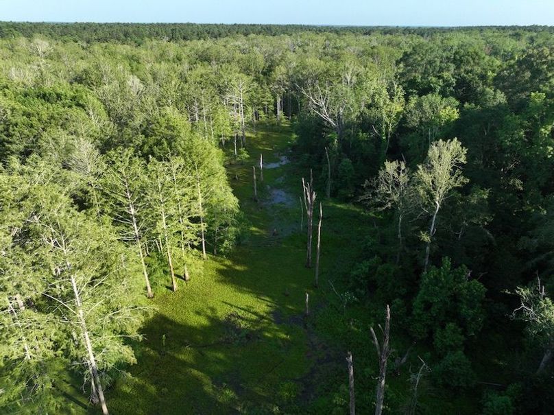 68C8CE2C-1640-4812-AF4E-73FDFC1507AA_1_105_c