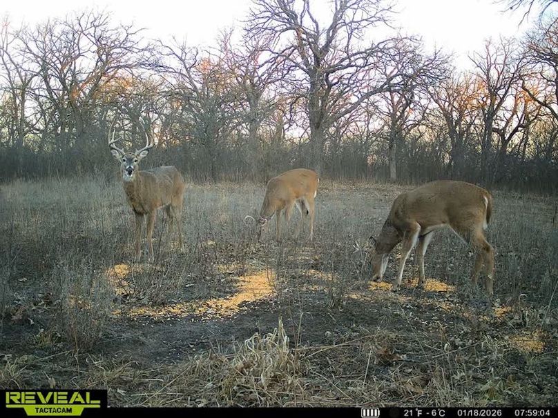 860322064077966-90-4-01182026075923-V-W1010383