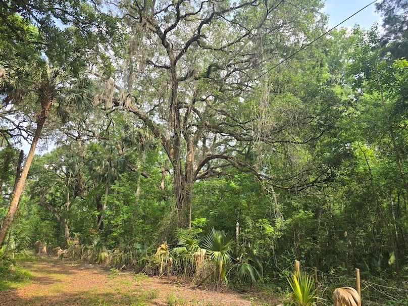 1.01ac, Citrus, Josiah Ronco17