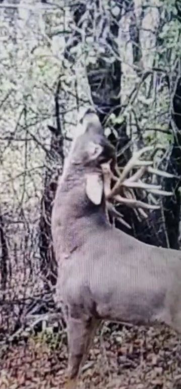 Screenshot_20230722_175936_Gallery