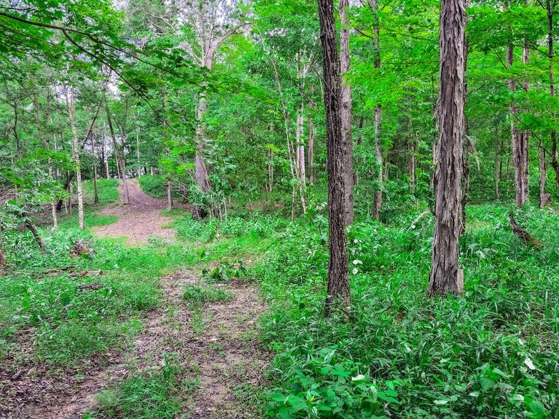 Wirt, WV 137.45 AC Full-36