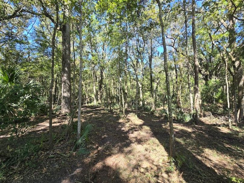 7.8ac, Citrus, Andrew Goering20