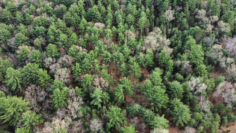 dji_fly_20230509_172026_418_1683724268628_photo_optimized