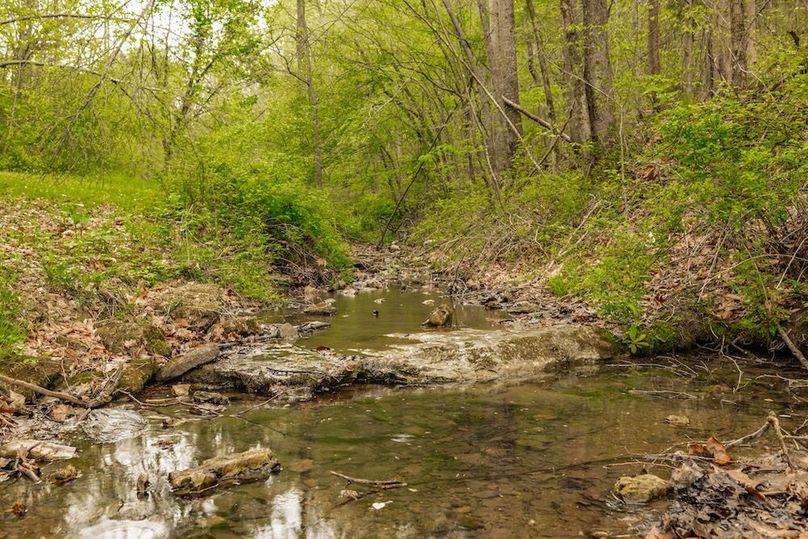 76-web-or-mls-1103 Johnny Spears Rd-77