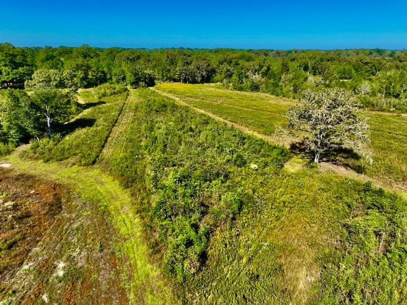 7BEF24DA-C372-49A7-8EB8-6F8CBEAA7B35_1_105_c