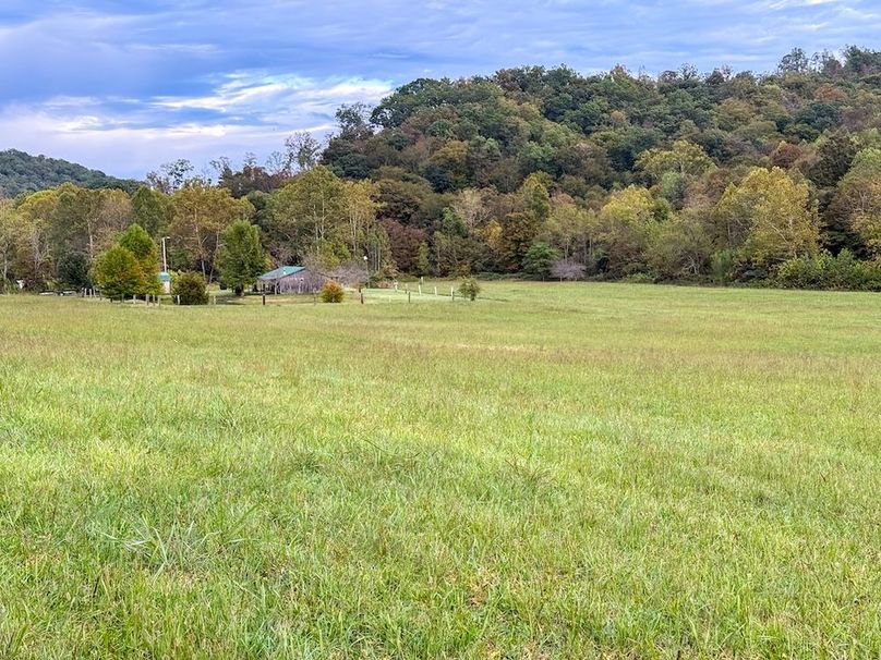 Greenup 77.28 Holsinger-50