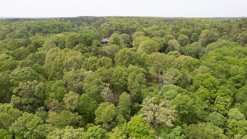 DJI_0123