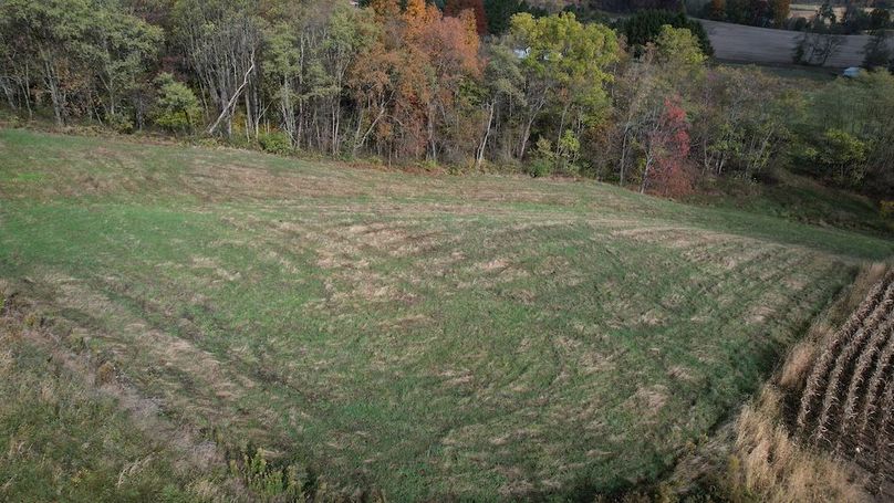 dji_fly_20251024_104632_851_1761317524831_photo