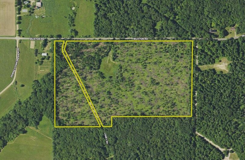 Screen Shot 2024-02-12 at 3.23.31 PM