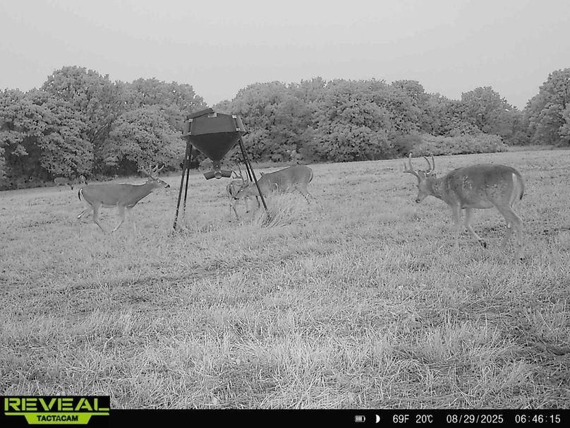 865814046506497-100-2-08292025064614-HD-W1000533