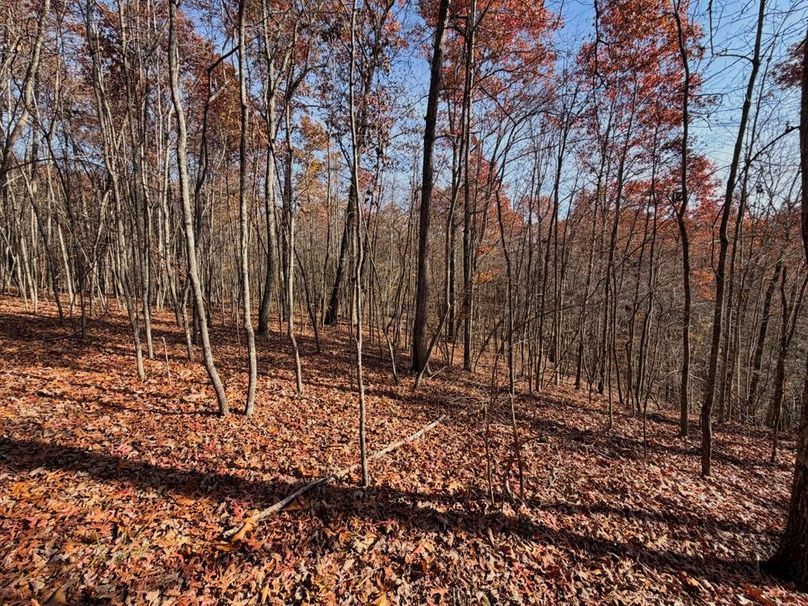 013 additional flats around the property-2