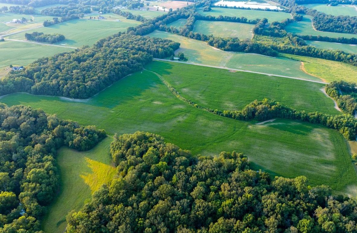 Copy of DJI_20250806055640_0051_D Large