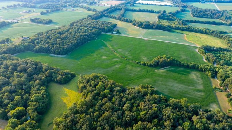 Copy of DJI_20250806055640_0051_D Large