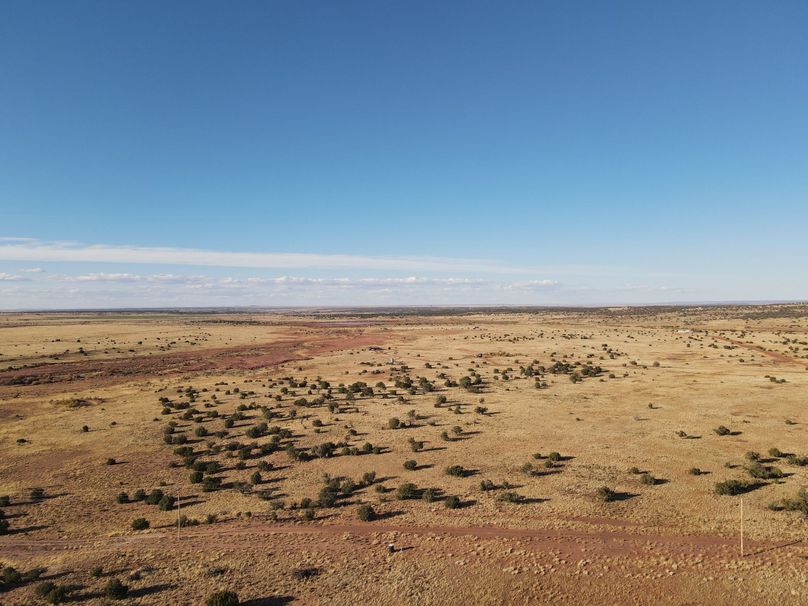 dji_fly_20231027_155650_149_1698449175918_photo