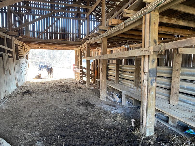 042 the head gates and area to work the cattle copy