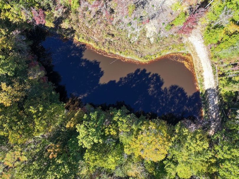 dji_fly_20251020_131656_0175_1761002555981_photo