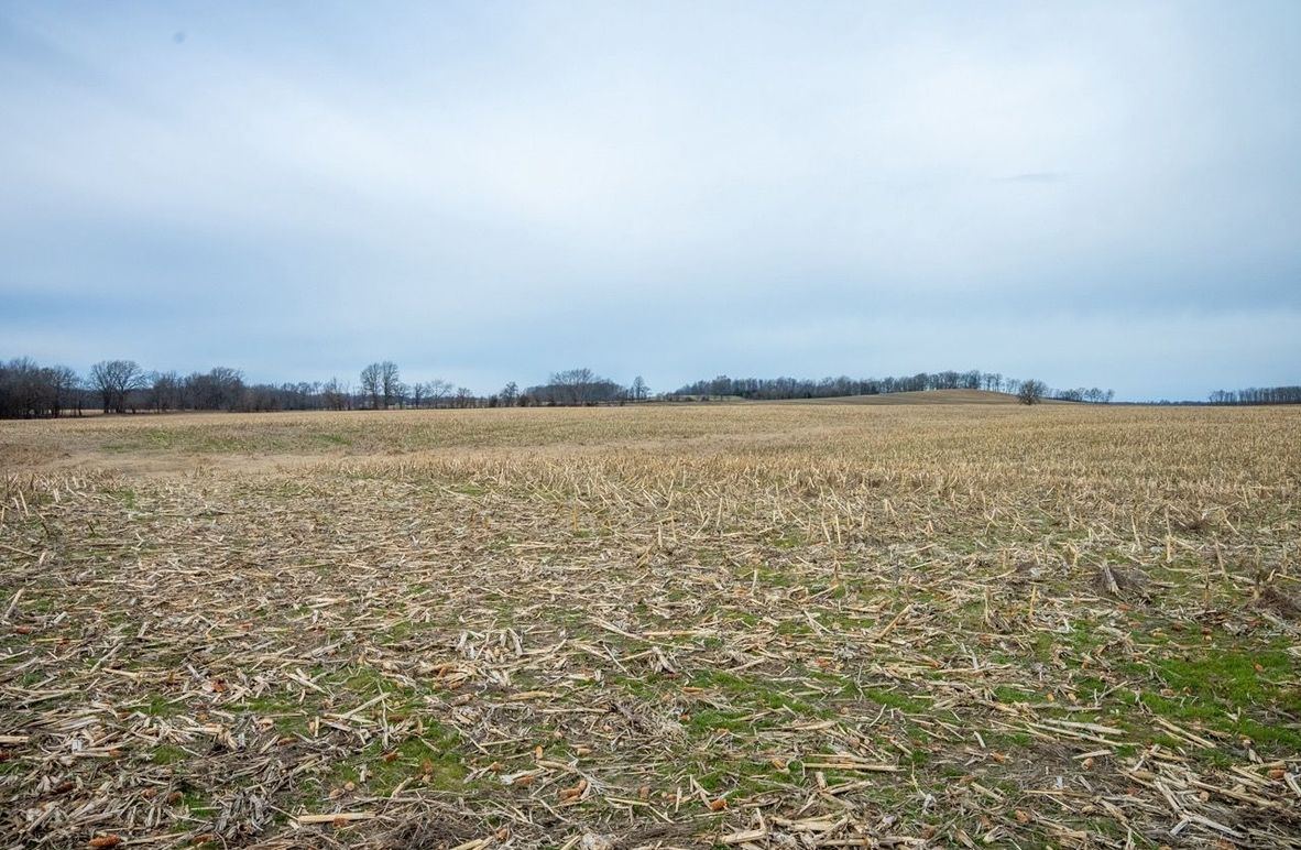 Copy of DSC00738 Large